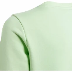 adidas Pullover & Sweats< semi green spark-white