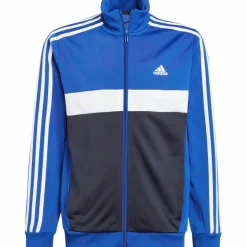 adidas Training|Trainingsanzüge< semi lucid blue-white-legend ink-white