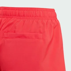 adidas Schwimmen<· Sportswear Essentials Logo CLX Pure Ruby / White
