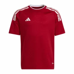 · Campeon 23 Trikot Kids Kinder Fußball|Trikots