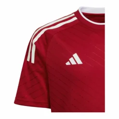 · Campeon 23 Trikot Kids Kinder Fußball|Trikots