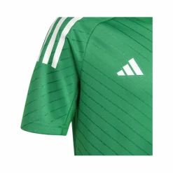 adidas Trikots<· Campeon 23 Trikot Kids gruen