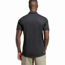 Online · Club Herren Tennis