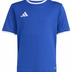 adidas Fußball|Fußball<· ENT26 JSY Y royblu-white