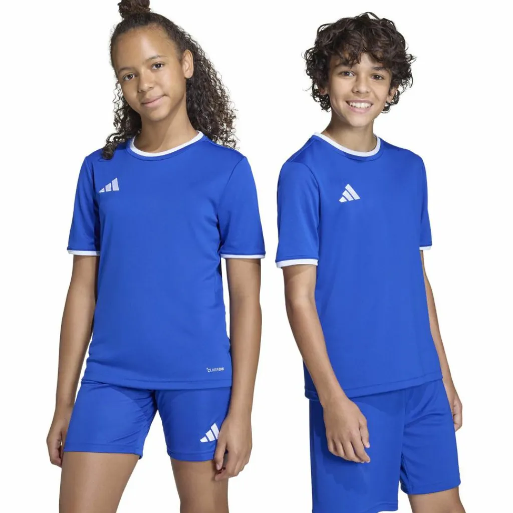 adidas Fußball|Fußball<· ENT26 JSY Y royblu-white
