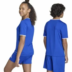 adidas Fußball|Fußball<· ENT26 JSY Y royblu-white