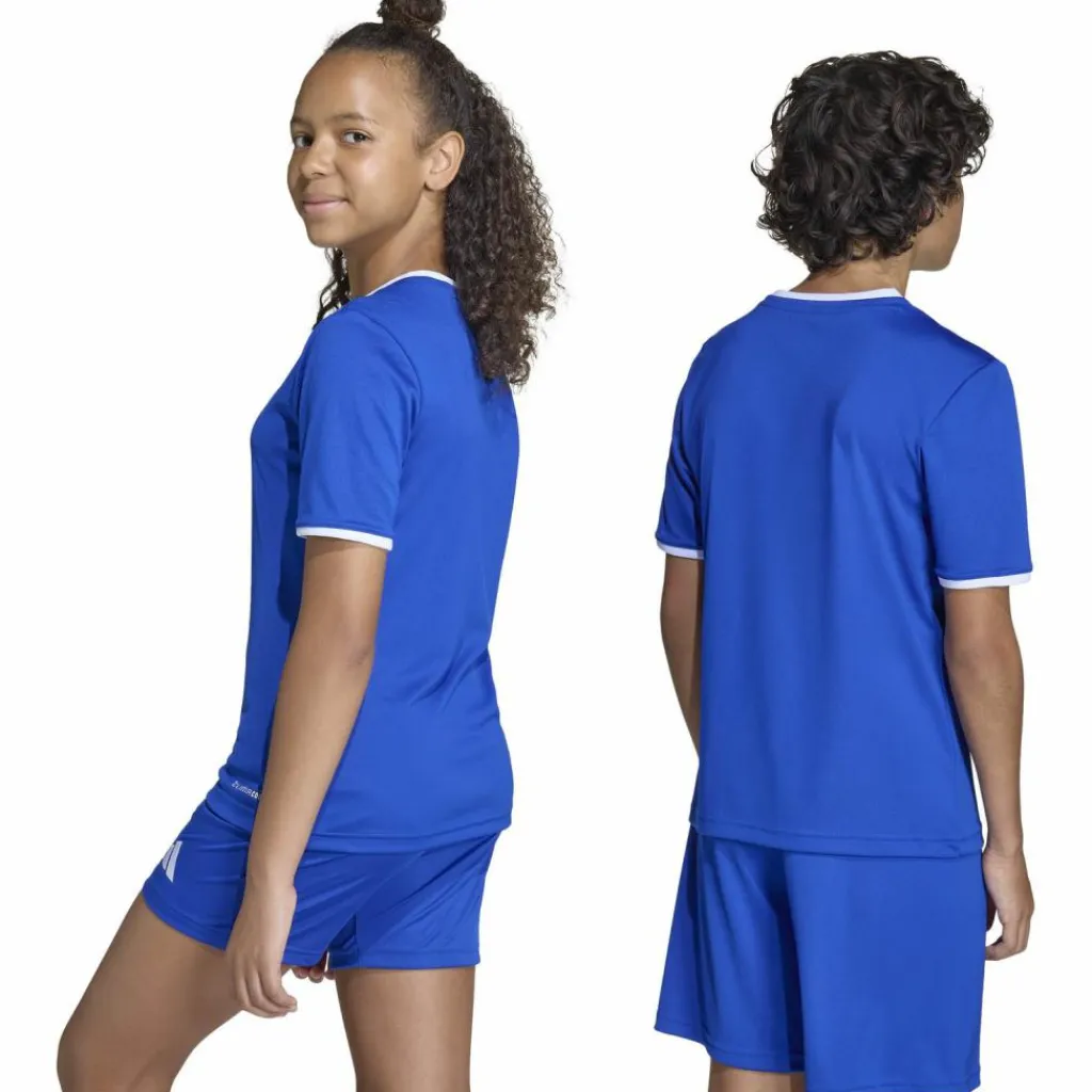 adidas Fußball|Fußball<· ENT26 JSY Y royblu-white