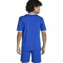 adidas Fußball|Fußball<· ENT26 JSY Y royblu-white