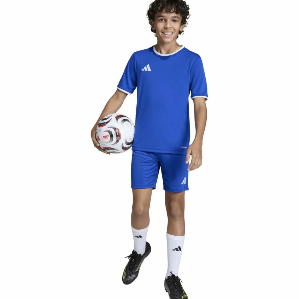 adidas Fußball|Fußball<· ENT26 JSY Y royblu-white