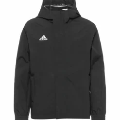 adidas Fußball|Fußball<· Entrada22 black