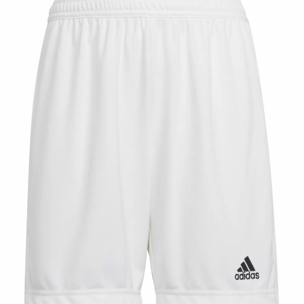 adidas Shorts<· Entrada22 white