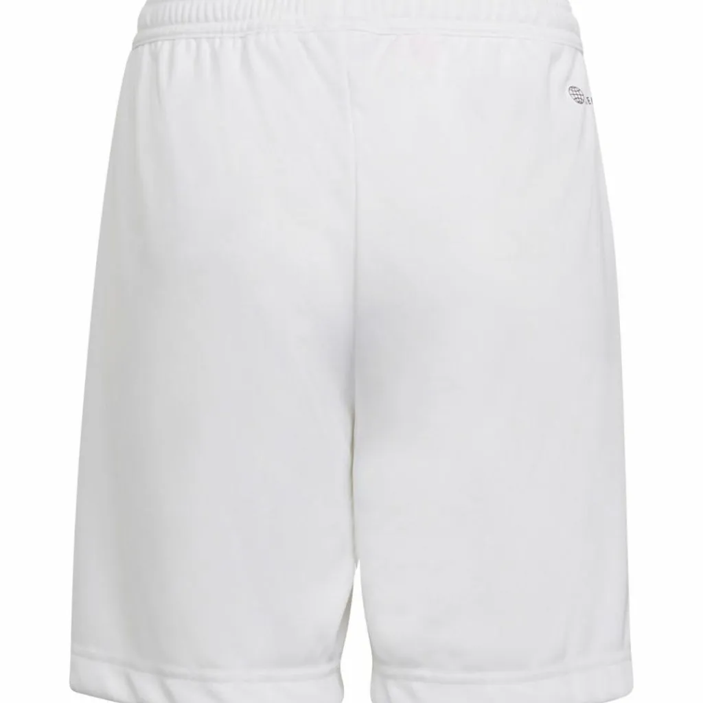 adidas Shorts<· Entrada22 white