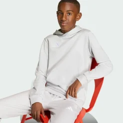adidas Pullover & Sweats<· Entrada26 Kids Hoodie Team Light Grey / White