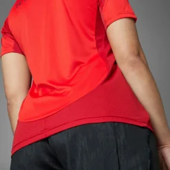 adidas Trikots<· FC Bayern München 24/25 Heim red
