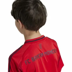 adidas Fußball|Trikots<· FC Bayern München 24/25 Heim red