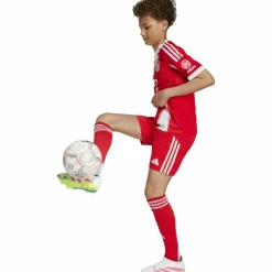 adidas Fußball|Fußball<· FC Bayern München 25/26 Heim red