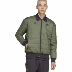 adidas Übergangsjacken<· FC Bayern München Icon aurbla-basgrn