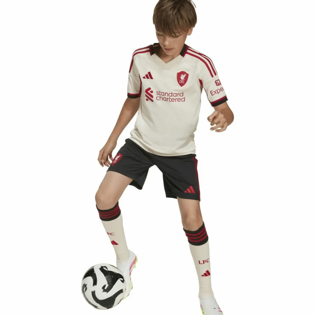 adidas Shorts<· FC Liverpool 25-26 auswärts black