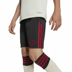 adidas Shorts<· FC Liverpool 25-26 auswärts black