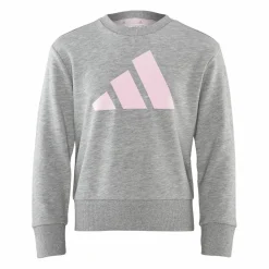 adidas Pullover & Sweats<· FC Schalke 04 Sweatshirt Kids graurosa