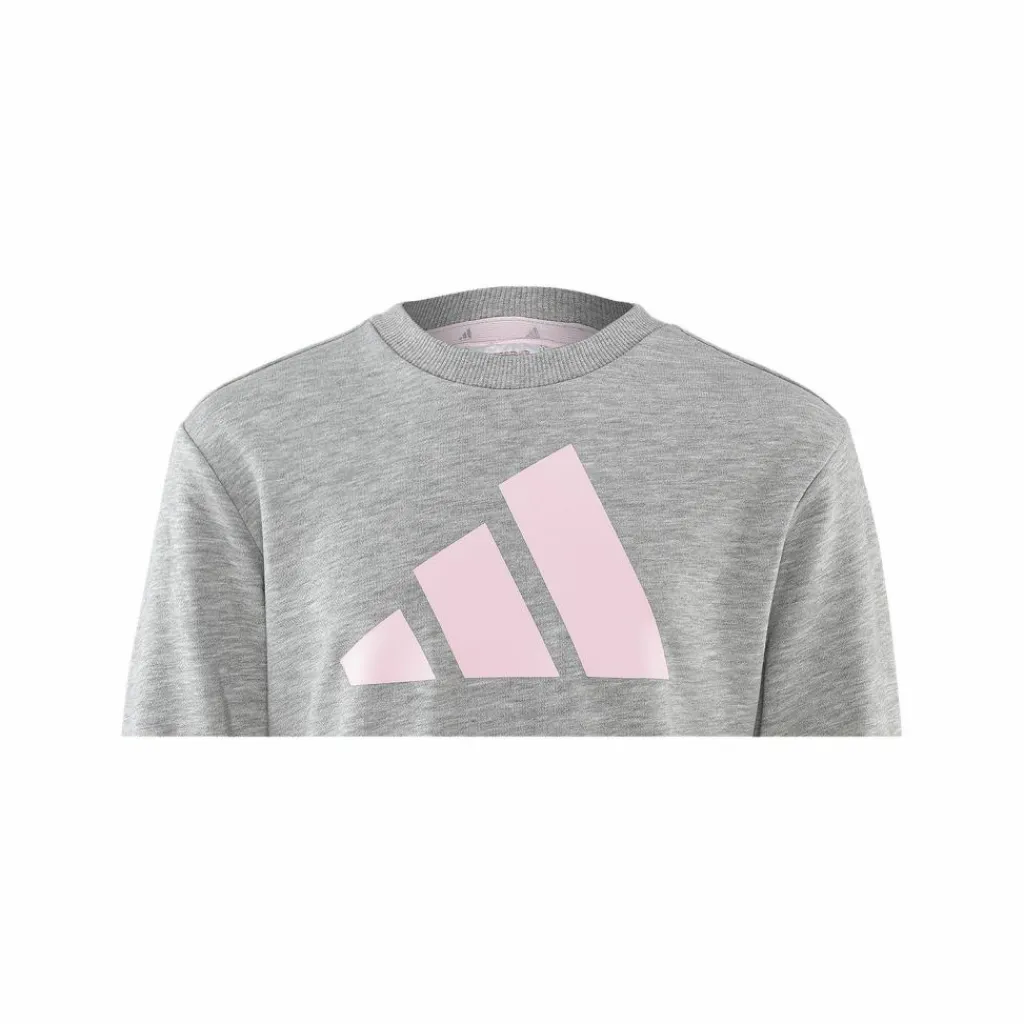 adidas Pullover & Sweats<· FC Schalke 04 Sweatshirt Kids graurosa