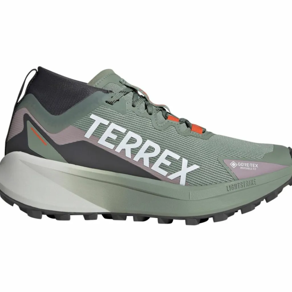 adidas Trailrunning<· GTX TERREX AGRAVIC GTX silver green-ftwr white-preloved fig