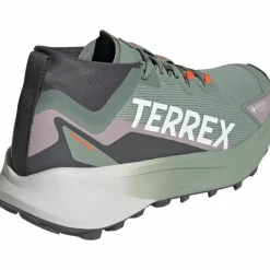 adidas Trailrunning<· GTX TERREX AGRAVIC GTX silver green-ftwr white-preloved fig