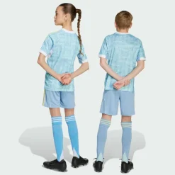 adidas Fußball|Hosen<· Juventus Turin 25/26 Kids Auswärtsshorts Ash Blue