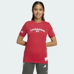 Hot · Liverpool FC US Pack Trikot Kinder Fußball|Shirts