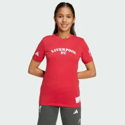 Hot · Liverpool FC US Pack Trikot Kinder Fußball|Shirts
