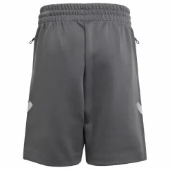 adidas Shorts<· Mercedes – AMG Petronas Formula One Grey Five