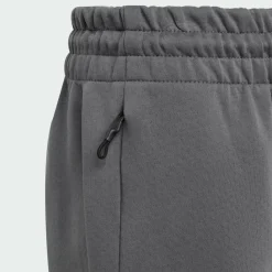 adidas Shorts<· Mercedes – AMG Petronas Formula One Grey Five