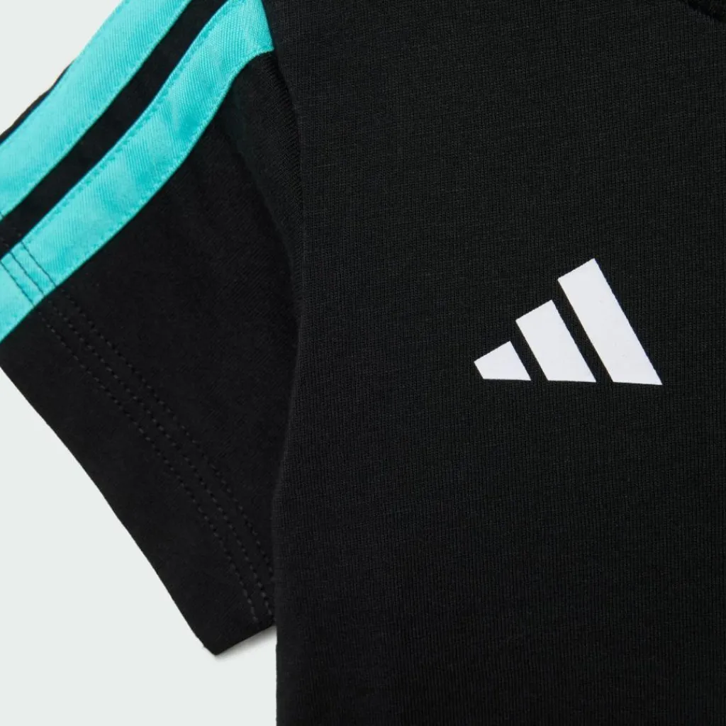 adidas Trainingsanzüge<· MERCEDES-AMG PETRONAS FORMULA 1 TEAM Black / Semi Mint Rush