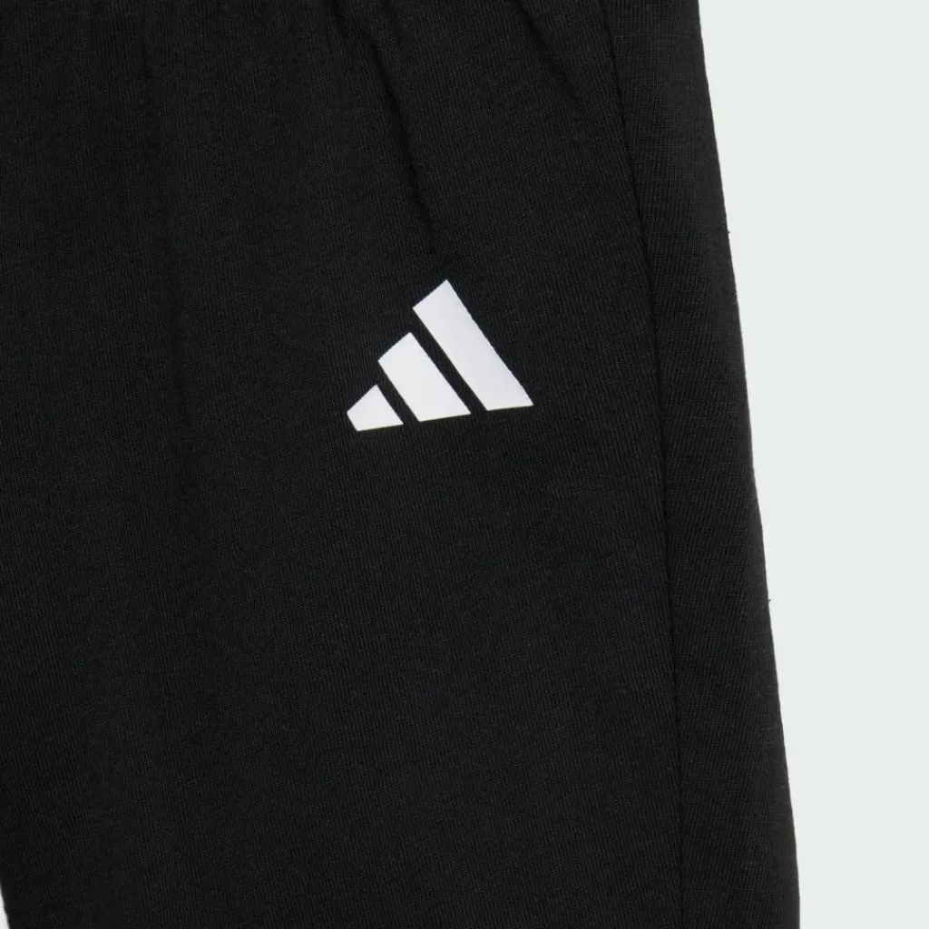 adidas Trainingsanzüge<· MERCEDES-AMG PETRONAS FORMULA 1 TEAM Black / Semi Mint Rush