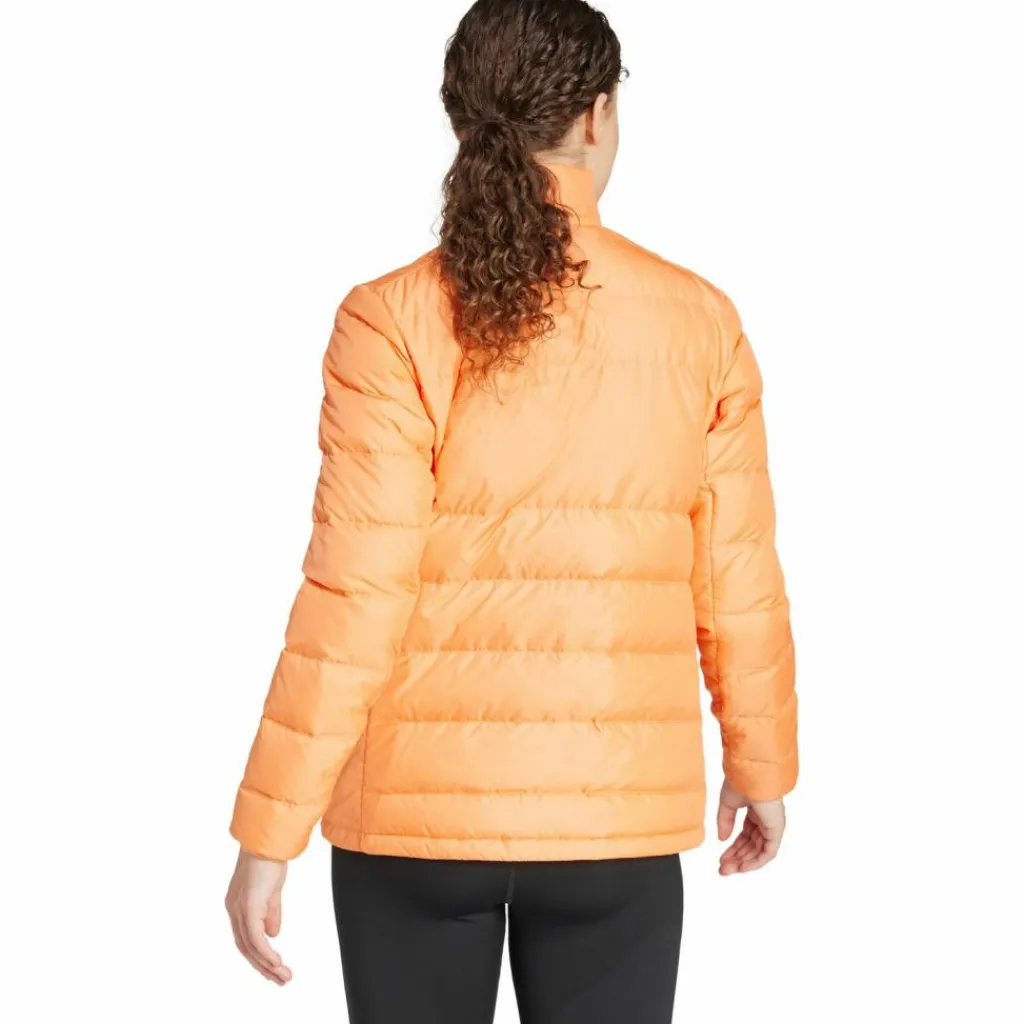 adidas Winterjacken<· MULTI ambtin