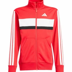 adidas Training|Trainingsanzüge<· 3S pure ruby-white