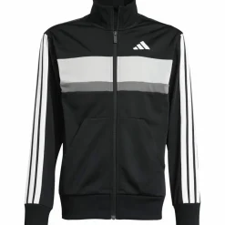 adidas Training|Trainingsanzüge<· 3S black-white-grey