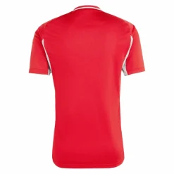 adidas Trikots<· Tiro 25 Competition Trikot rotgrau