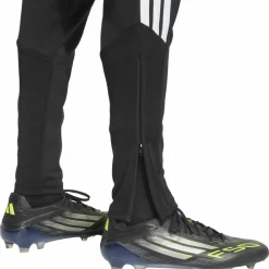 · TIRO26L TRPNTS Herren Training|Fußball