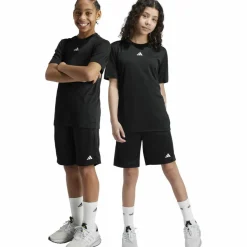 Clearance · TRAIN ESSENTIALS Kinder Training|Training
