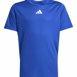 adidas Training|Trainingsanzüge<· TRAIN ESSENTIALS 3 STRIPES team royal blue-white