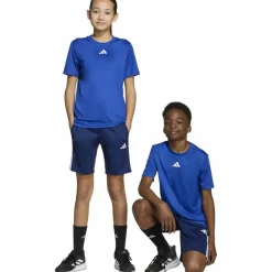 adidas Training|Trainingsanzüge<· TRAIN ESSENTIALS 3 STRIPES team royal blue-white