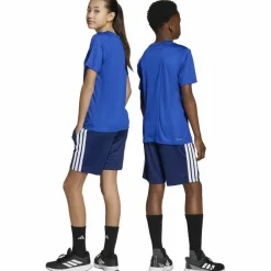 adidas Training|Trainingsanzüge<· TRAIN ESSENTIALS 3 STRIPES team royal blue-white