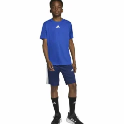 adidas Training|Trainingsanzüge<· TRAIN ESSENTIALS 3 STRIPES team royal blue-white