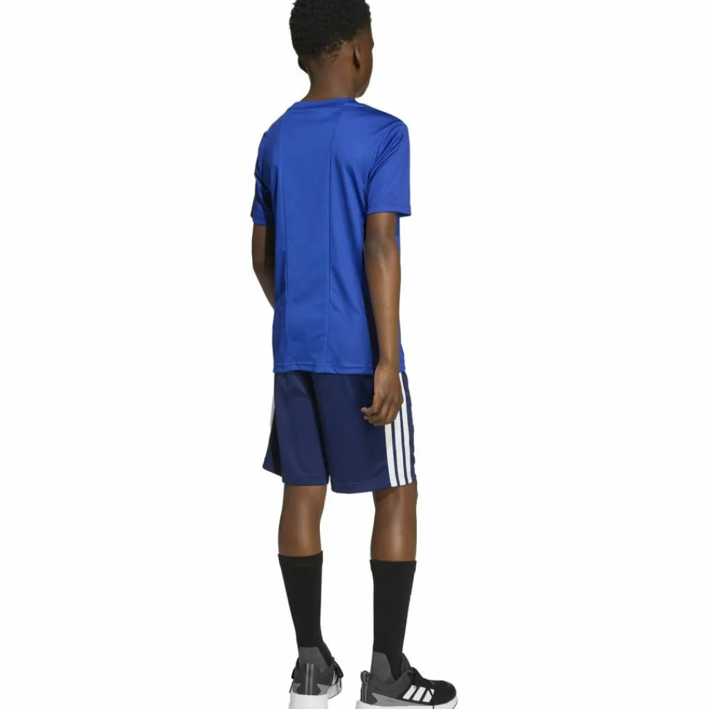adidas Training|Trainingsanzüge<· TRAIN ESSENTIALS 3 STRIPES team royal blue-white
