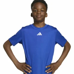 adidas Training|Trainingsanzüge<· TRAIN ESSENTIALS 3 STRIPES team royal blue-white