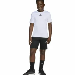 adidas Trainingsanzüge<· TRAIN ESSENTIALS 3 STRIPES white-black