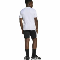 adidas Trainingsanzüge<· TRAIN ESSENTIALS 3 STRIPES white-black
