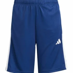 adidas Trainingsanzüge<· TRAIN ESSENTIALS 3 STRIPES bright cyan-white