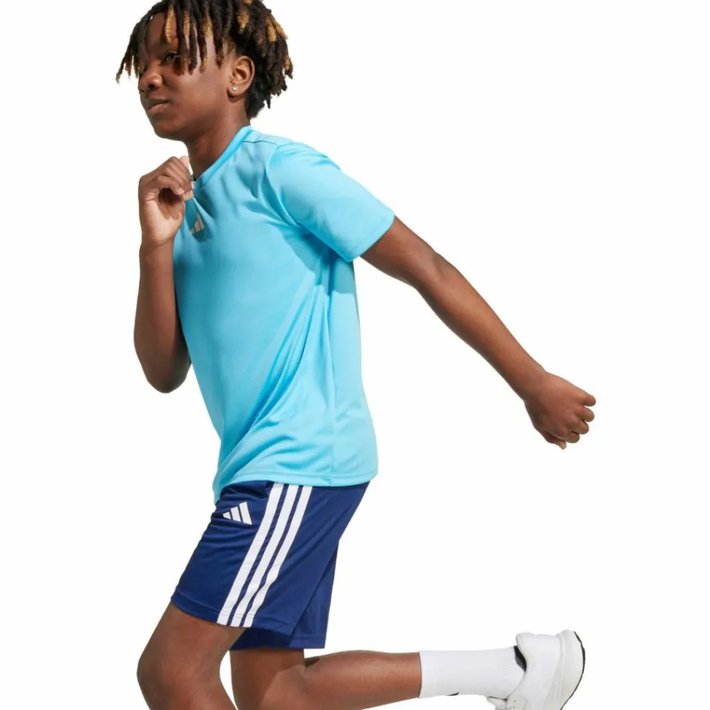 adidas Trainingsanzüge<· TRAIN ESSENTIALS 3 STRIPES bright cyan-white